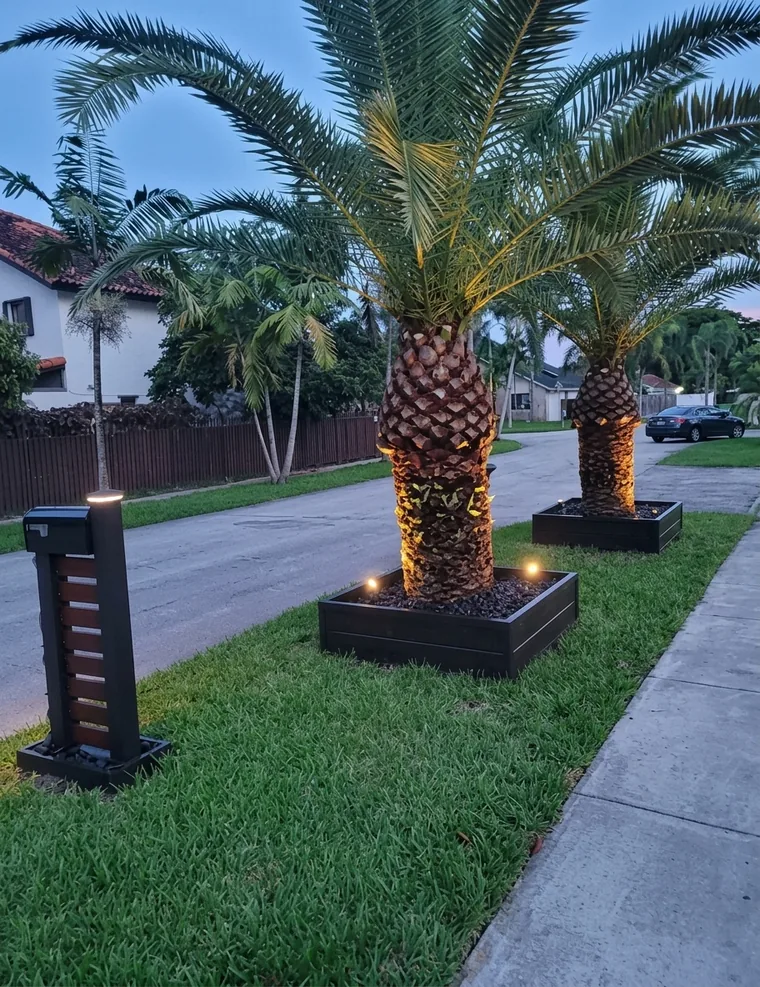 Pedestales negros con iluminación en la base junto a las palmeras de la entrada